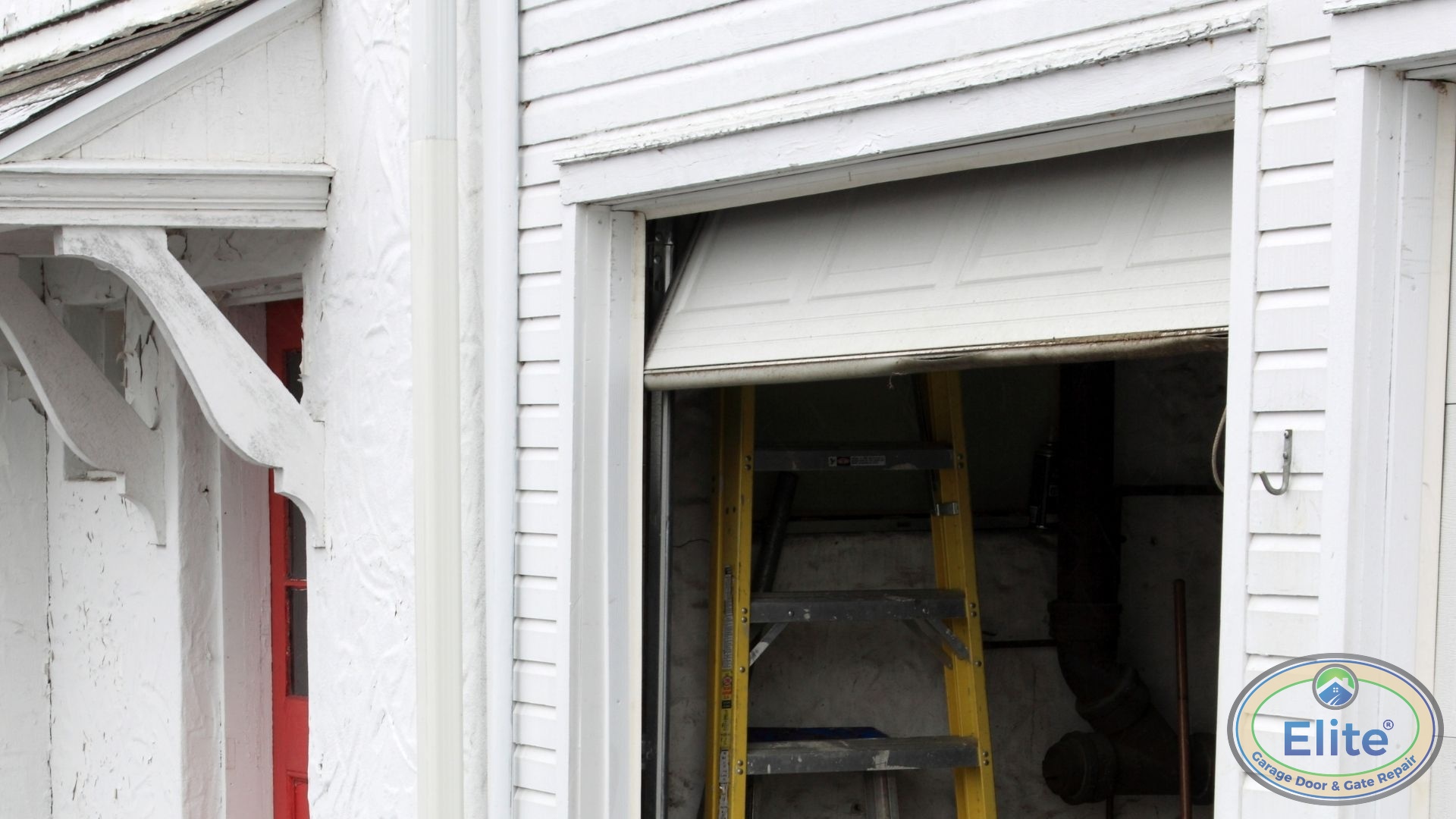 What Wood Species Work Best in Our Climate? - Custom Wood Doors: Matching the Pacific Northwest aesthetic